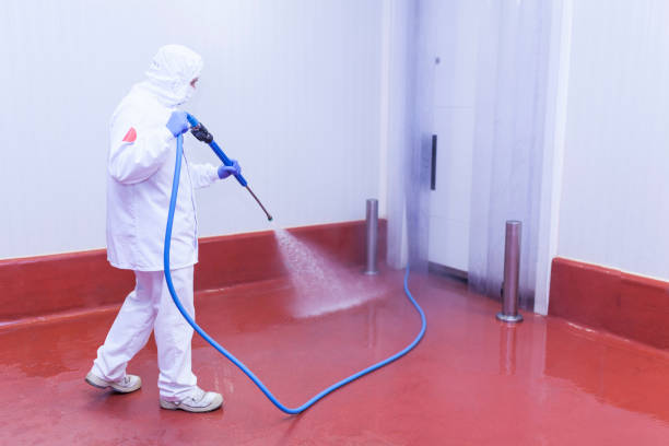  Charleston, IL Pressure Washing Pros